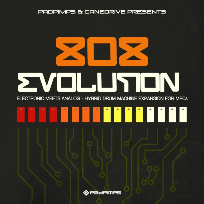 808 Evolution