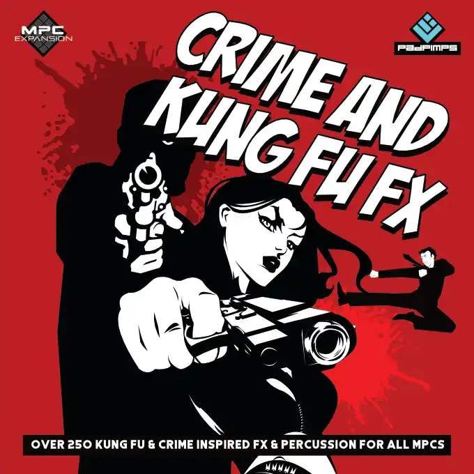 Kung Fu Crime FX