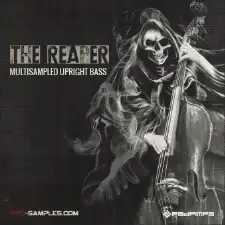 Multisampled Acoustic Upright Bass For MPCs & the Akai Force